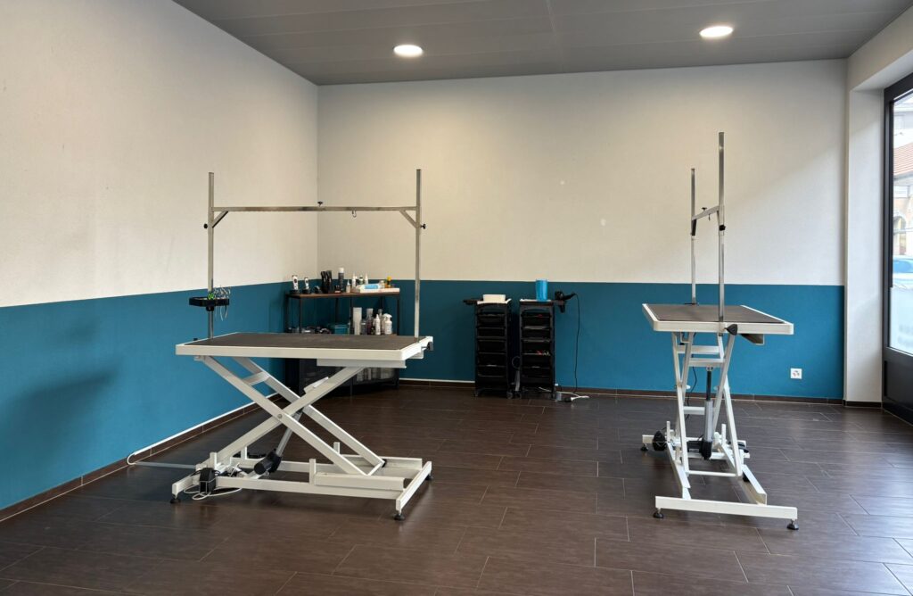 salle principale du salon de toilettage, deux tables hautes ou les chiens se font toiletter. couleur bleu sur le mur.