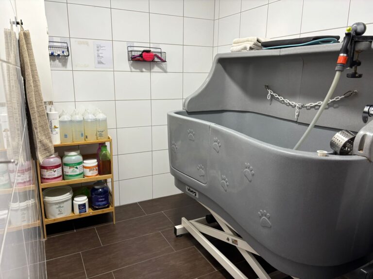 Bac pour laver les animaux. Gris, avec une étagère rempli de produits naturels